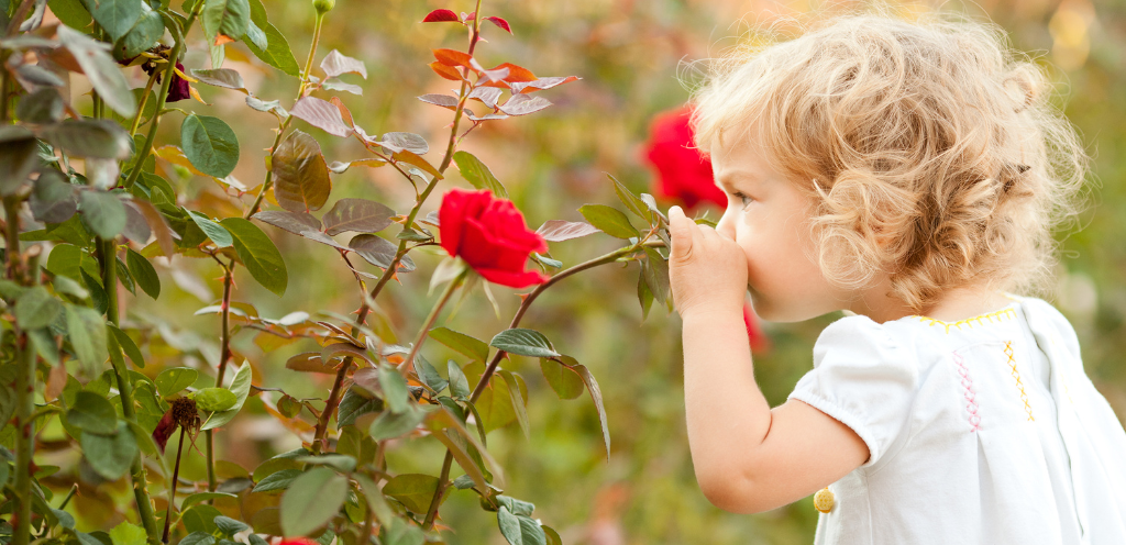 Bébé fille habillée d'une jolie robe évasée en lin sent une rose rouge. Tenue du quotidien.